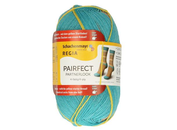 REGIA PAIRFECT 4-ply Color 100g 07132