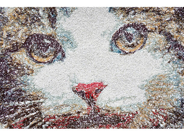 Bernina V9 Broderistoftware - fullversjon