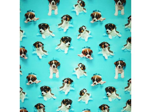 Bomulljersey stoff, valper