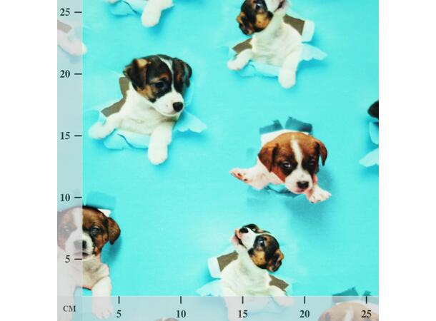 Bomulljersey stoff, valper