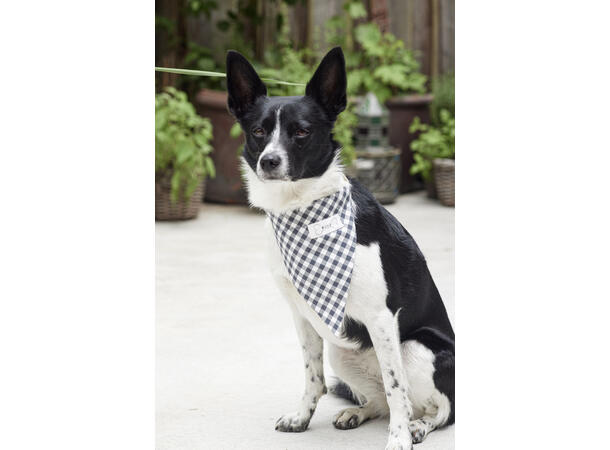 Burda 5702 - Tilbehør til hund.